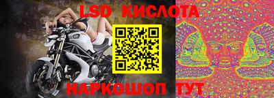 стаф Камышлов