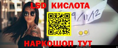 стаф Камышлов