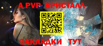стаф Камышлов
