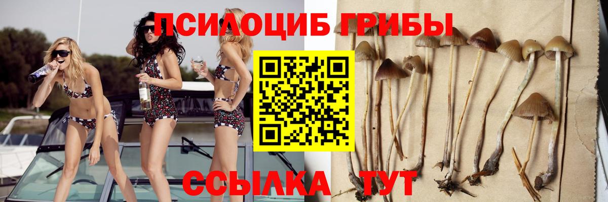 Галлюциногенные грибы MAGIC MUSHROOMS  цены наркотик  Краснодар  Галлюциногенные грибы Magic Shrooms  Вход с VPN 